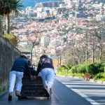 דרכי השינוע הכי יצירתיים בעולם