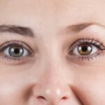 דיוקנאות גנטיים של בני משפחה