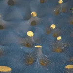 מבנה עם חופה מ-6,665 מטריות אלומיניום, בוושינגטון