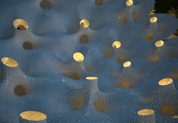 מבנה עם חופה מ-6,665 מטריות אלומיניום, בוושינגטון