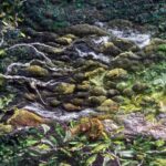 ציורי נוף מצמר של האמנית הבריטית Susan Mulcock