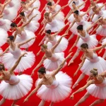 צורה, דיוק, תבנית: בתוך עולם הצילום הסימטרי של Brad Walls