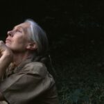 Jane Goodall החוקרת והפעילה הנודעת לשימור השימפנזים, נפטרה בת 91