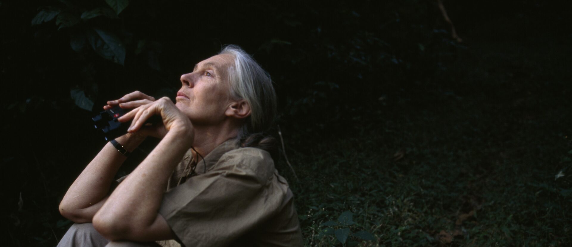 Jane Goodall החוקרת והפעילה הנודעת לשימור השימפנזים, נפטרה בת 91