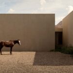 מדיטציה אדריכלית: הבית בכרם הגפנים במקסיקו