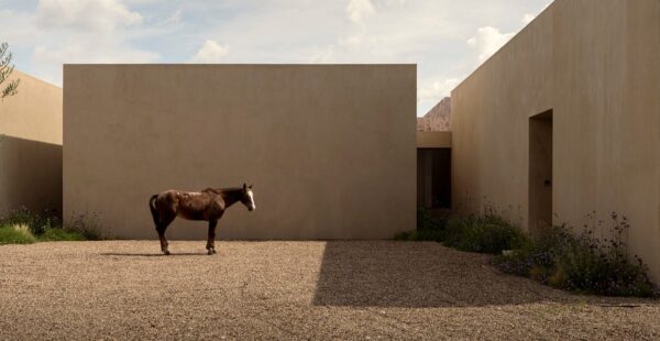 מדיטציה אדריכלית: הבית בכרם הגפנים במקסיקו