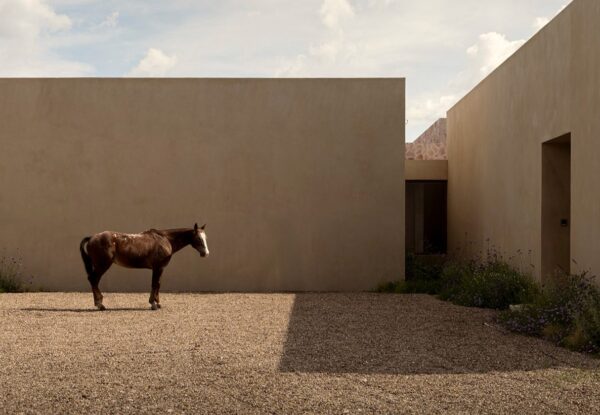 מדיטציה אדריכלית: הבית בכרם הגפנים במקסיקו
