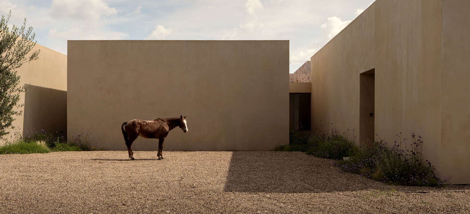 מדיטציה אדריכלית: הבית בכרם הגפנים במקסיקו