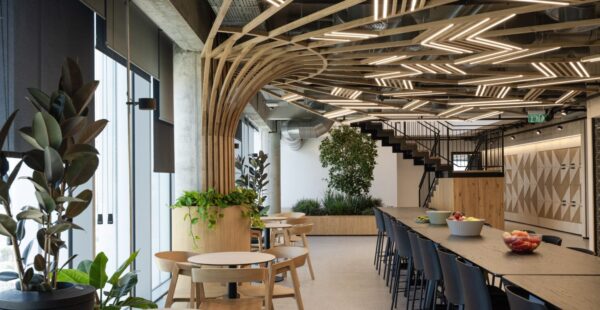 צמחיה במשרד ללא תחזוקה? מהפכת הביופיליה של Tomgrow