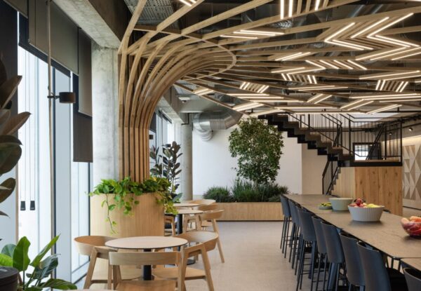 צמחיה במשרד ללא תחזוקה? מהפכת הביופיליה של Tomgrow