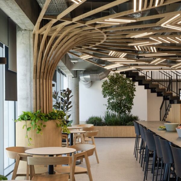 צמחיה במשרד ללא תחזוקה? מהפכת הביופיליה של Tomgrow