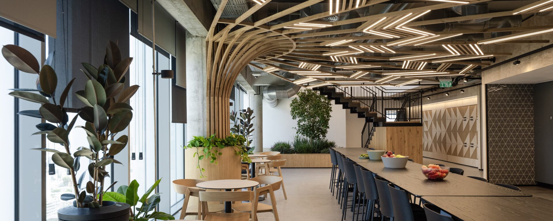 צמחיה במשרד ללא תחזוקה? מהפכת הביופיליה של Tomgrow