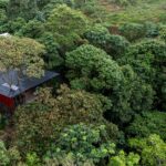 בקתת נופש על צמרות העצים בג'ונגל באמזונס