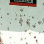 ספארי סרייבו: תיירים שילמו כדי לירות באזרחים בבוסניה בשנות ה-90