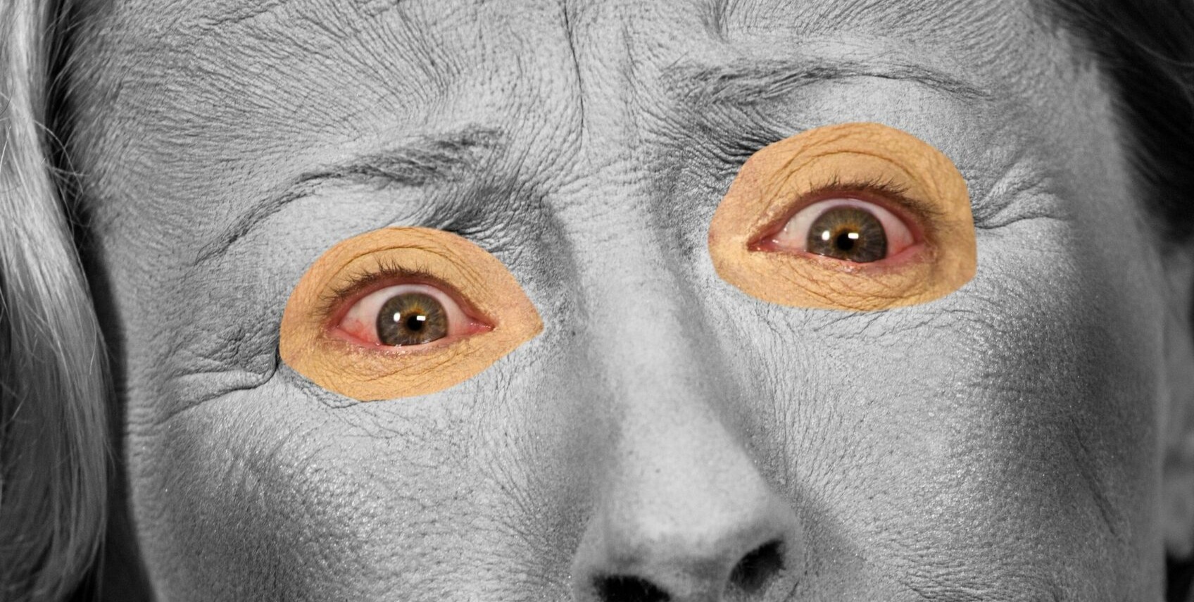 Cindy Sherman: פירוק ובנייה מחדש של הפנים בעידן הדיגיטלי