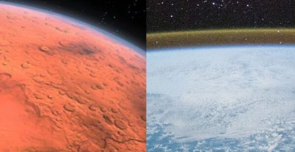 האדריכלית החיפאית שמלמדת את נאס"א לתכנן בתים בחלל