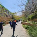 המרחב הציבורי הוא הלב הפועם של העיר