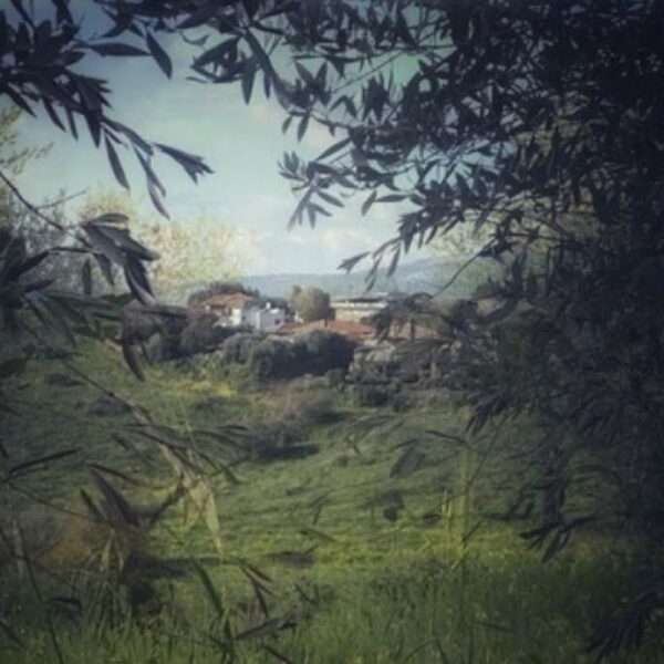 הבית שלי: הצלמת מירימי צדוק, בכפר תבור