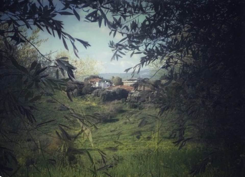 הבית שלי: הצלמת מירימי צדוק, בכפר תבור