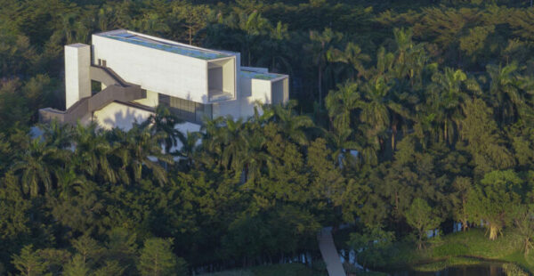 מוזיאון ביצות על אי אקולוגי, המאוכלס ב-25 אלף אנפות