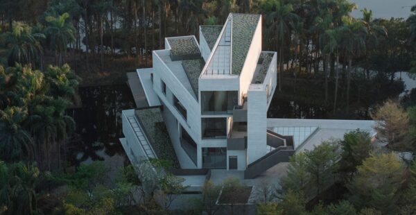 מוזיאון ביצות על אי אקולוגי, המאוכלס ב-25 אלף אנפות