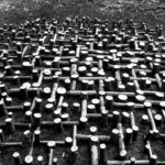 אמנות שהיא חלק מהטבע וגם אירעית כמוהו