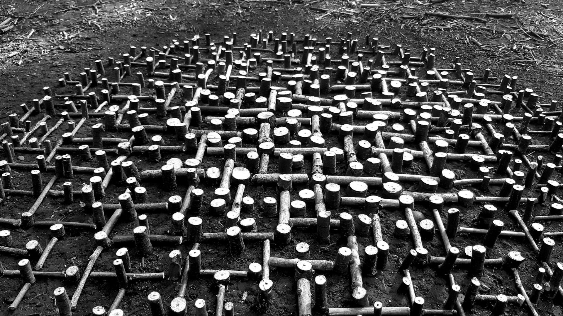 אמנות שהיא חלק מהטבע וגם אירעית כמוהו