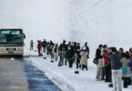 טיול במסדרון השלג באלפים של יפן: The Tateyama Kurobe Alpine Route