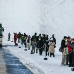 טיול במסדרון השלג באלפים של יפן: The Tateyama Kurobe Alpine Route