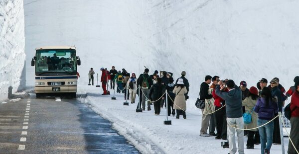 טיול במסדרון השלג באלפים של יפן: The Tateyama Kurobe Alpine Route