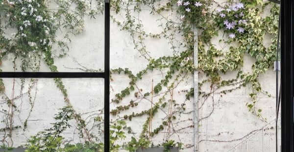 תעשייה פוגשת הייטק: מבנה ישן במונטיפיורי מקבל חיים חדשים