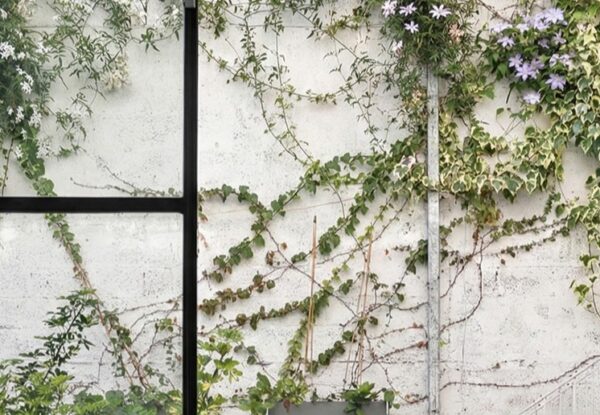 תעשייה פוגשת הייטק: מבנה ישן במונטיפיורי מקבל חיים חדשים