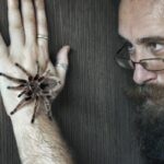 גם חמור או עז יכולים להיות חיות מחמד אהובות. אפילו חרקים