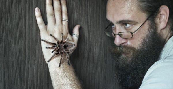 גם חמור או עז יכולים להיות חיות מחמד אהובות. אפילו חרקים