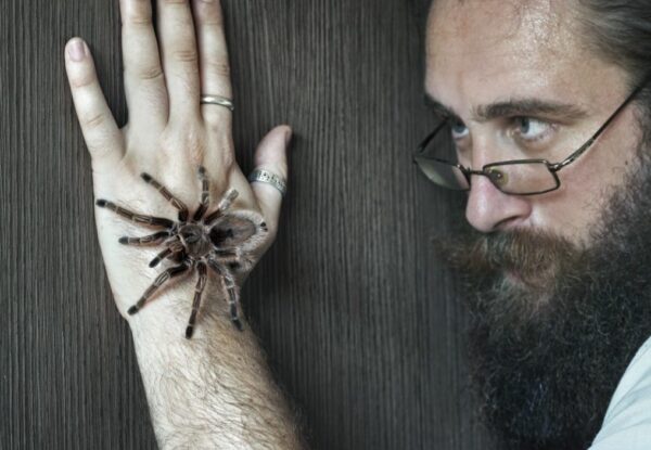 גם חמור או עז יכולים להיות חיות מחמד אהובות. אפילו חרקים