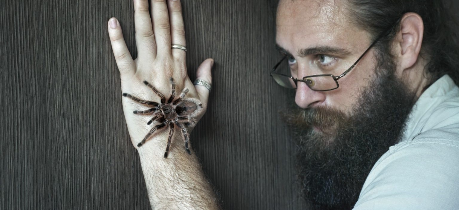 גם חמור או עז יכולים להיות חיות מחמד אהובות. אפילו חרקים