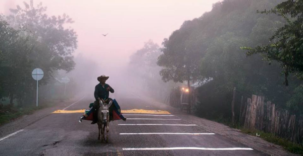 אדם אחד וספרייה ניידת על חמורים, מפיצים דעת בקולומביה הכפרית