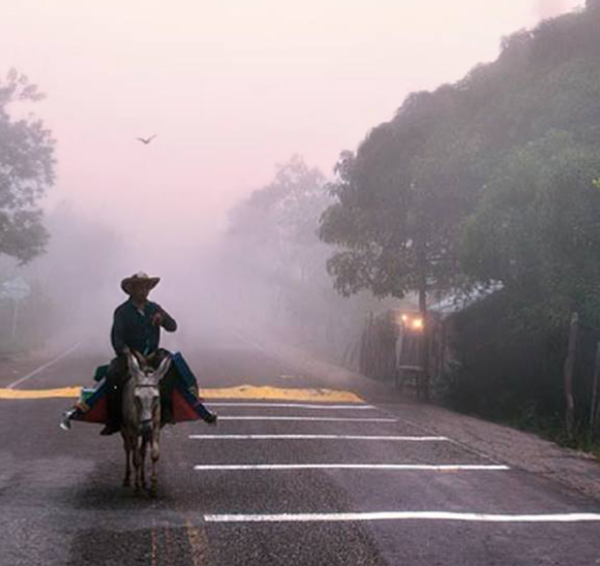 אדם אחד וספרייה ניידת על חמורים, מפיצים דעת בקולומביה הכפרית