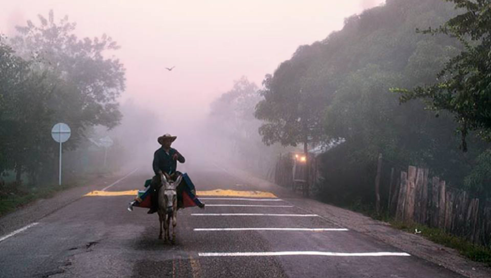 אדם אחד וספרייה ניידת על חמורים, מפיצים דעת בקולומביה הכפרית