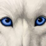 ההומלס מבת ים שגר ברחוב והפך לאמן רחוב