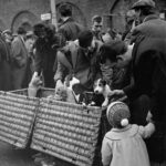 השוק לבעלי חיים בלונדון שמכר הכול – מציפור שיר ועד גור אריה