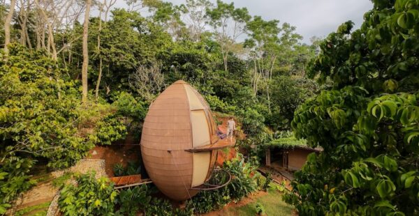 מלון בצורת פול קקאו: אדריכלות ברת-קיימא הטובה ביותר במקסיקו