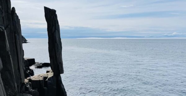 זקיף הסלע בן 200 מיליון שנה שלא קופץ לים