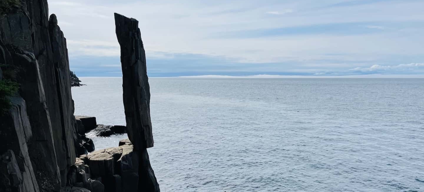 זקיף הסלע בן 200 מיליון שנה שלא קופץ לים