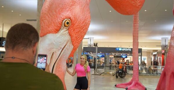 אמנות ציבורית במרכזים מסחריים: ערך עיצובי, מותגי וכלכלי