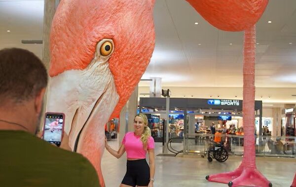 אמנות ציבורית במרכזים מסחריים: ערך עיצובי, מותגי וכלכלי