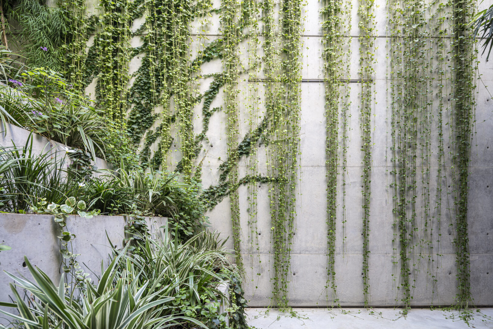 תכנון עם שורשים: עצים ונוף כמרכיב רגשי וחווייתי בתכנון הבית