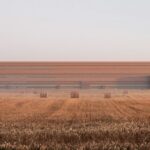 הוכרז הזוכה בתחרות הבינלאומית למרכז האוספים של מוזיאון הטבע ההונגרי בדברצן