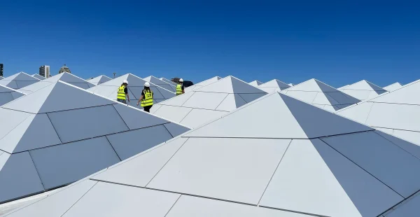 שוק הדגים החדש של סידני: אייקון עץ, קיימות וחוויה עירונית