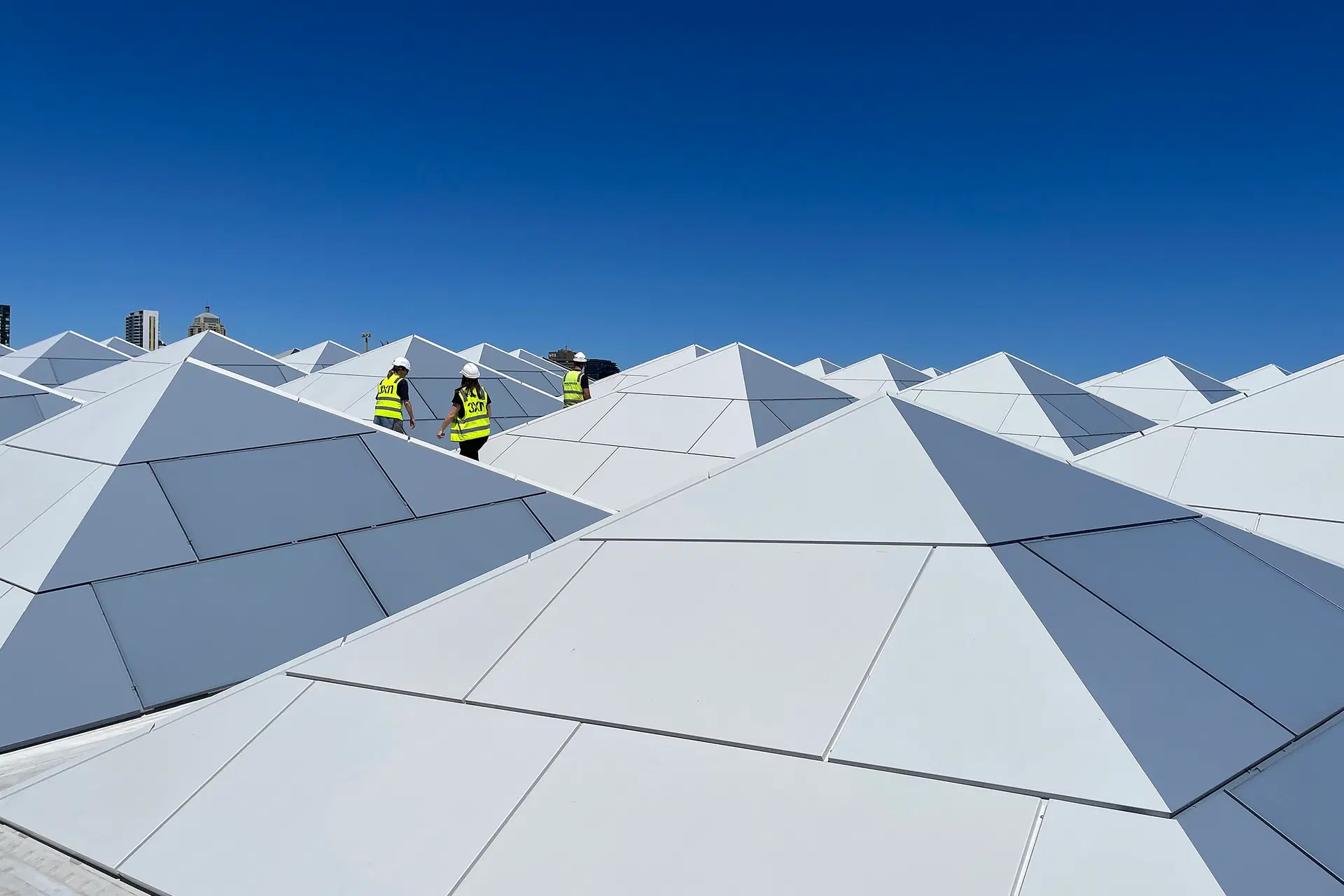 שוק הדגים החדש של סידני: אייקון עץ, קיימות וחוויה עירונית